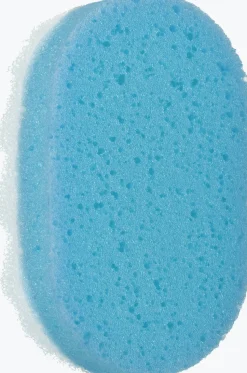 Badeschwamm oval
