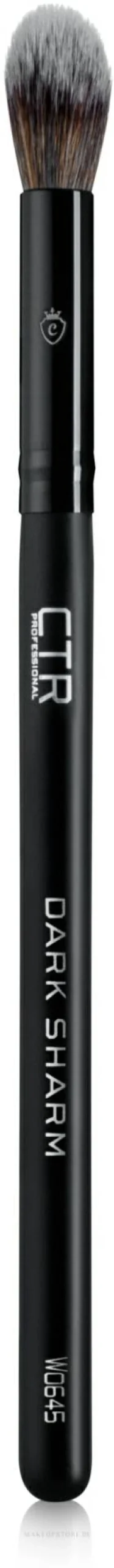 Concealer- und Lidschattenpinsel W0645