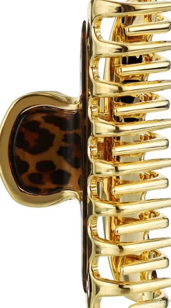 Haarkrebs Krabbe 7x 2.6 cm Leopard