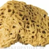 Natürlicher Badeschwamm braun 12,5 cm