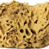 Natürlicher Badeschwamm braun 17,5 cm