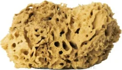 Natürlicher Badeschwamm braun 17,5 cm