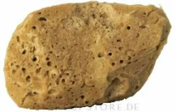 Natürlicher Badeschwamm braun 9,5 cm