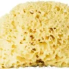 Natürlicher Badeschwamm gelb 9,5 cm