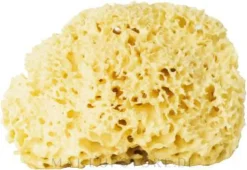 Natürlicher Badeschwamm gelb 9,5 cm