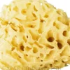 Natürlicher Badeschwamm gelb 12,5 cm
