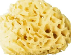 Natürlicher Badeschwamm gelb 12,5 cm