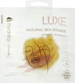 Natürlicher Meeresschwamm Honeycomb Sea Sponge 6.35 cm