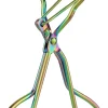 Wimpernzange Regenbogen